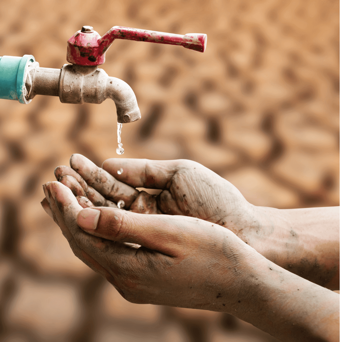 Climate Change and Children: Building Resilient Futures Together